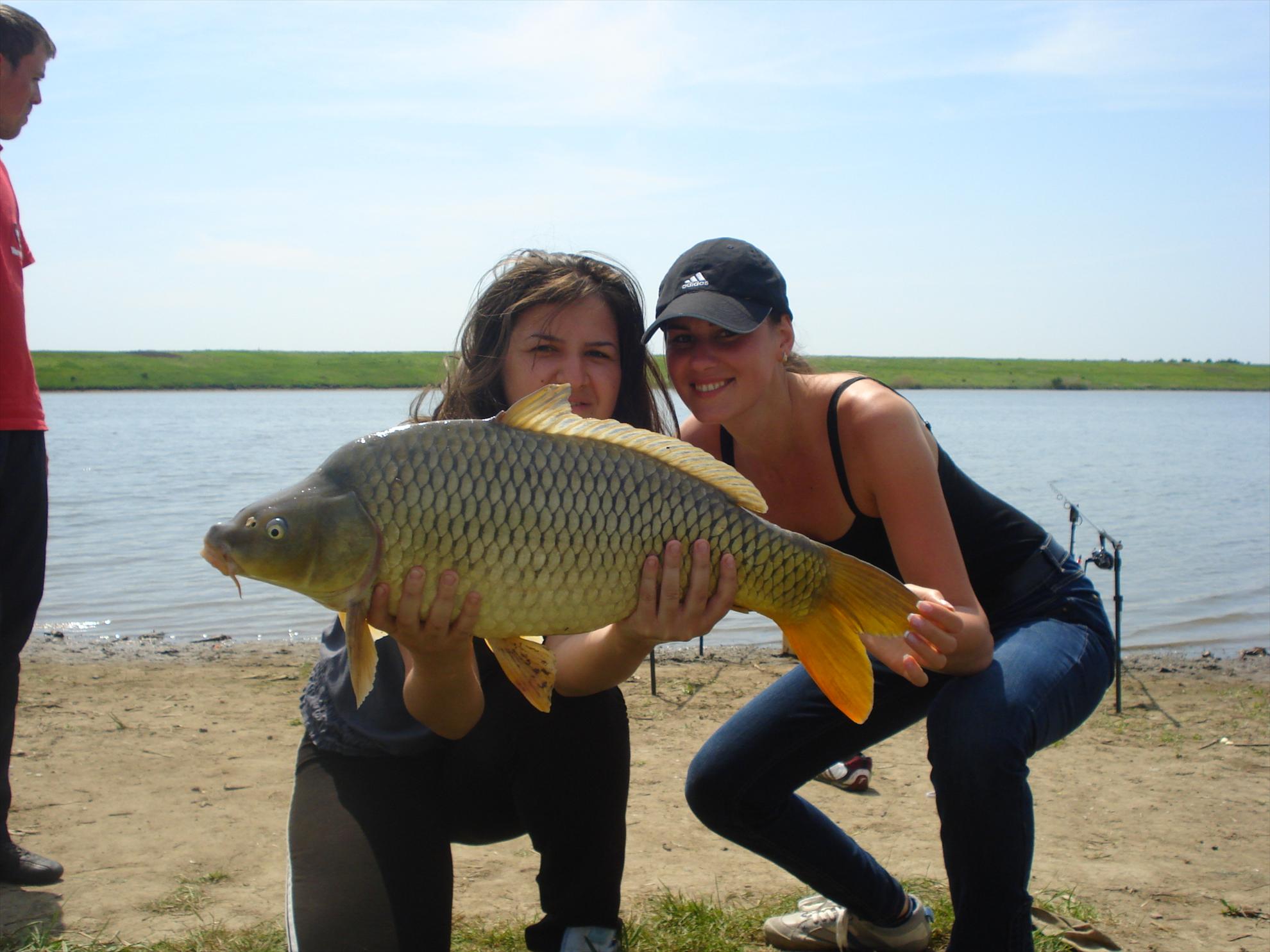 Hobaia - dsc08878.JPG